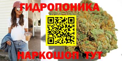 тгк Тулун