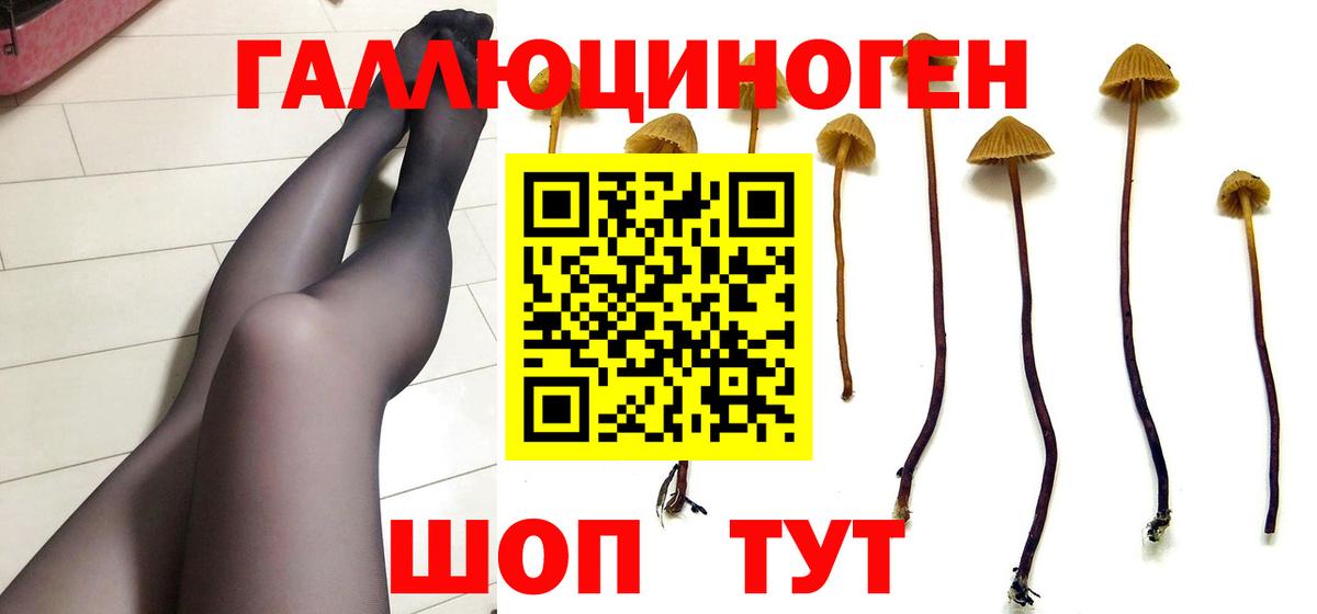 Павловский Посад  Псилоцибиновые грибы GOLDEN TEACHER  Вход с VPN  Псилоцибиновые грибы GOLDEN TEACHER 