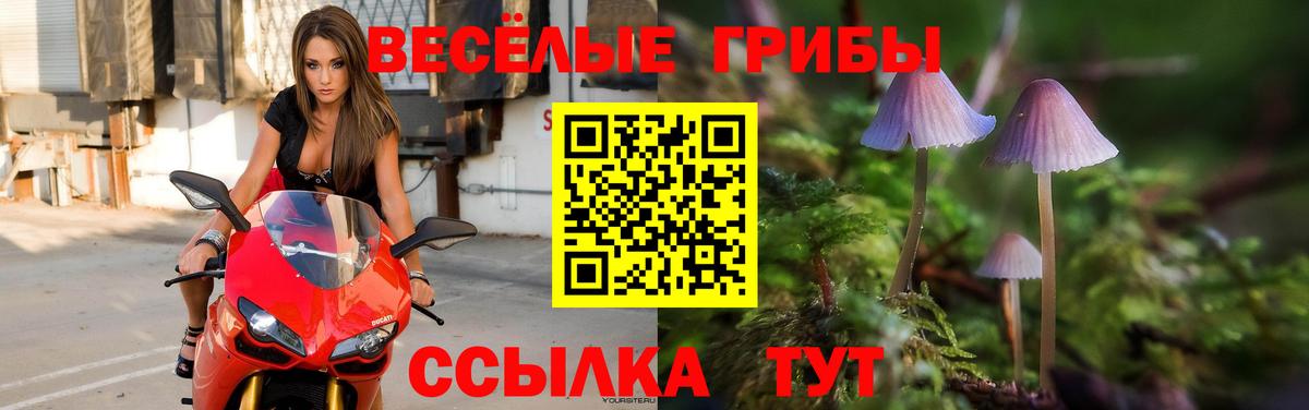 Галлюциногенные грибы ЛСД Павловский Посад